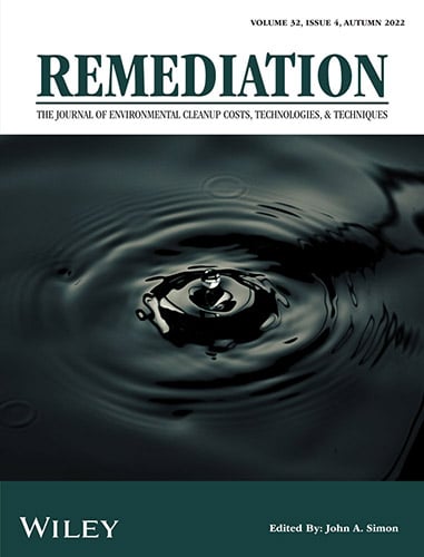 rem_v32_cover Remediation journal cover